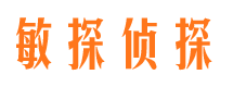 澜沧市婚外情调查